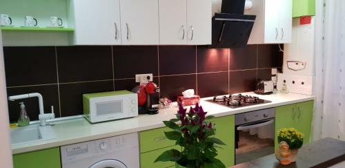 Happy Flowers Apartament