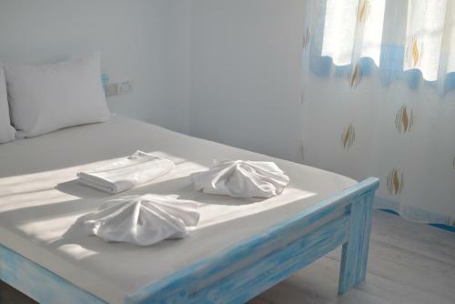 Hostal Pensiunea Yogi