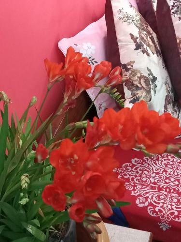 Hills Homestay