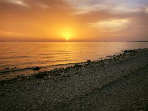 Apartments Davor