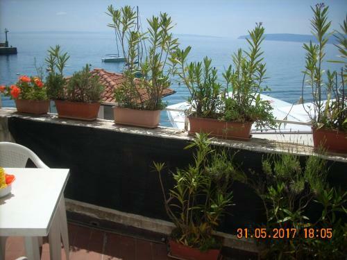 Apartment At Sea