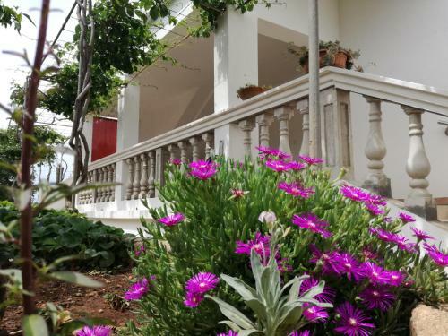Apartmani Daniela
