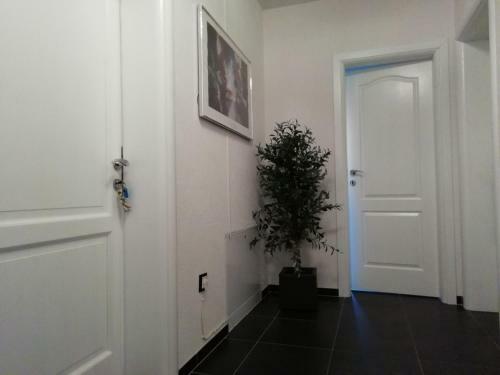 Apartamento Villa Fucane Medulin Sunset