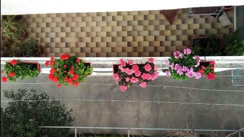 Hostal Rooms Ivka