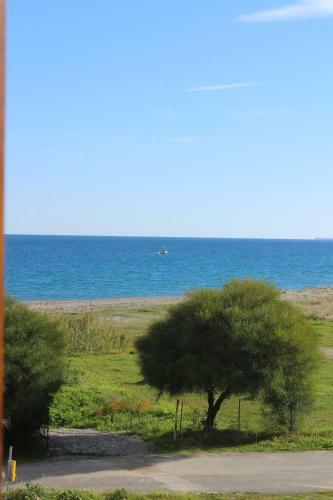 Bed & Breakfast Villa El Sa