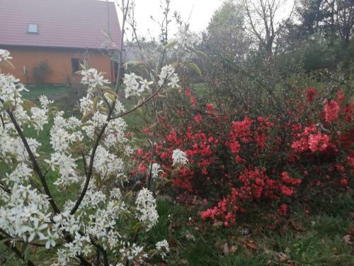 Agrojelonki Agroturystyka