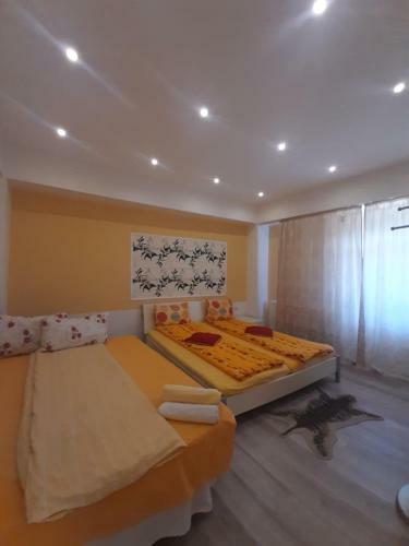 Hostal Cazare La Espa�ola