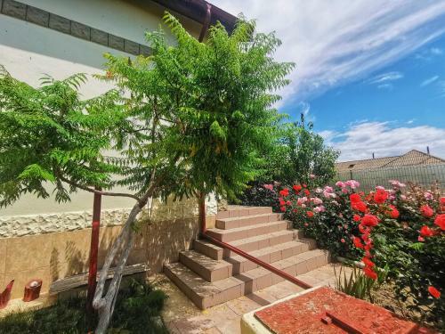 Hostal Casa M?d?lina