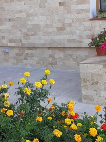 Hostal Vila Irina