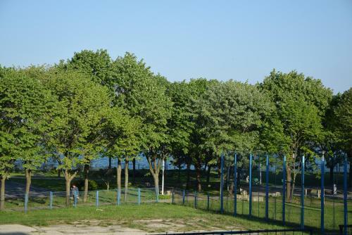 Apartament Albatros