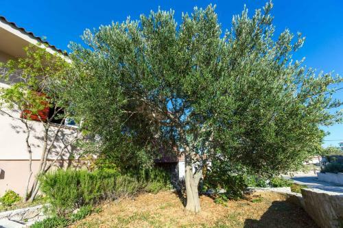 Holiday Home Bosko