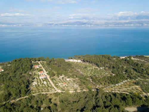 Villa Roga?