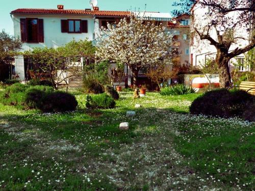 Apartment Rosa 2