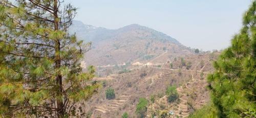 Apartamento Blue Pine Orchards - Villas