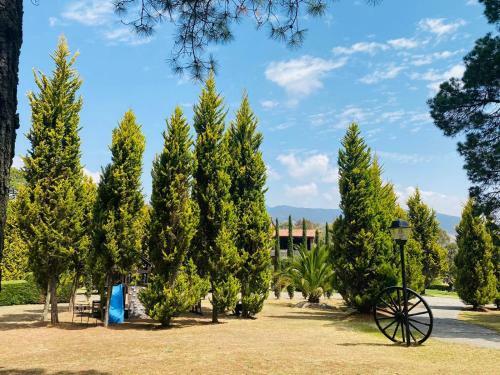 Hotel El Roble Resort