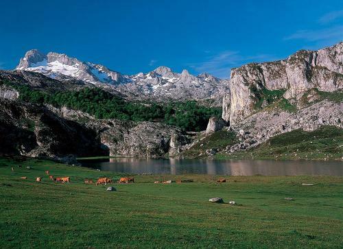 Apartamento El Relax Del Sella
