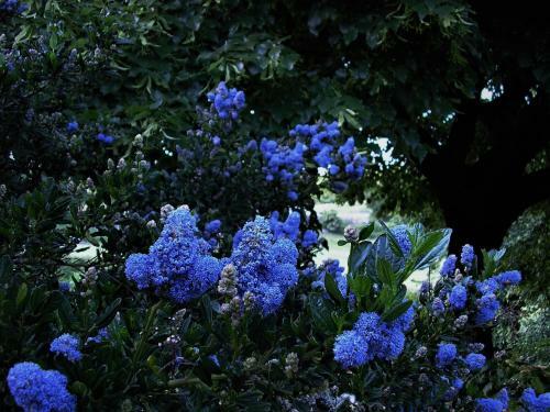 Bed & Breakfast La Ferme Jarlan