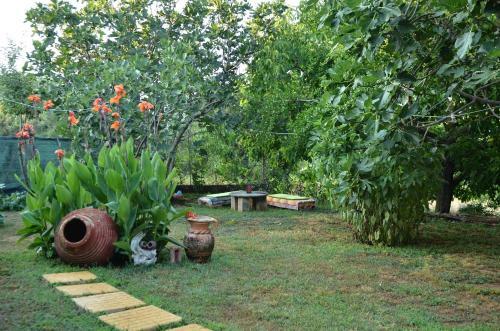Doloi Garden House