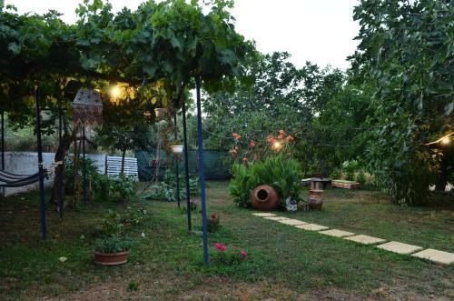 Doloi Garden House