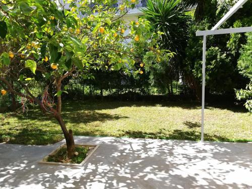 Lefkada Suncentral Apartments