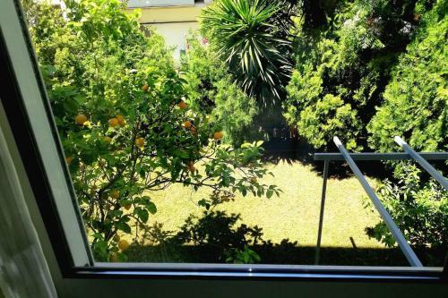Lefkada Suncentral Apartments