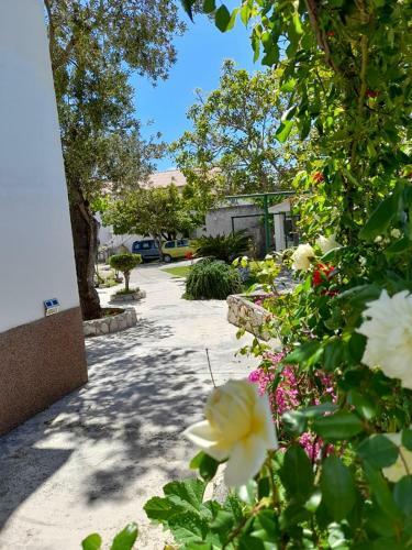 Apartmani Julija I Danijel