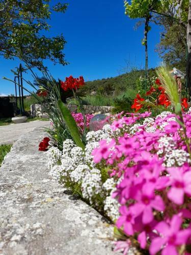 Apartmani Julija I Danijel