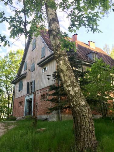 Bed & Breakfast Widok�wka