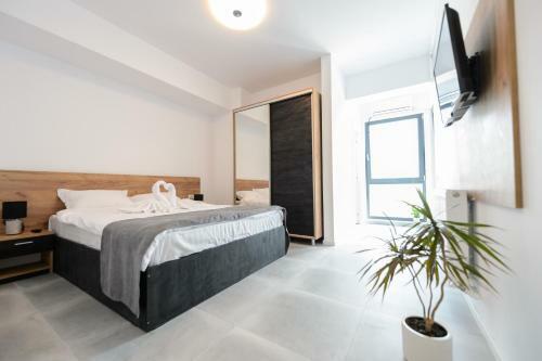 Ox Apartments