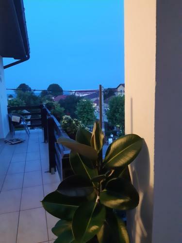 Hostal Vila Liliana