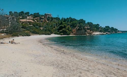 Apollo Beach House