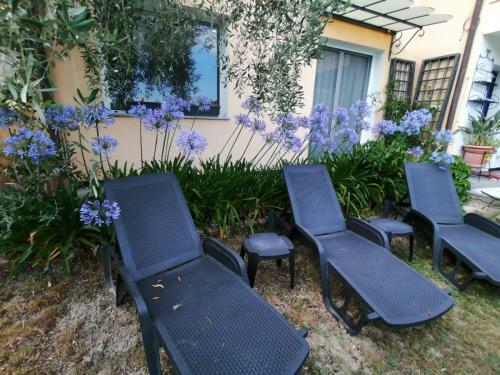 Bed & Breakfast Il Giardino Degli Ulivi