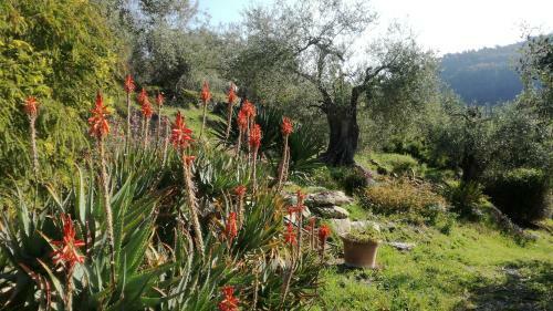 Bed & Breakfast Il Giardino Degli Ulivi