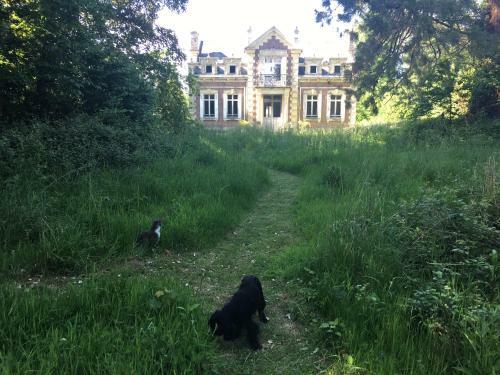 Charming Cozy Guesthouse In Lower Normandy