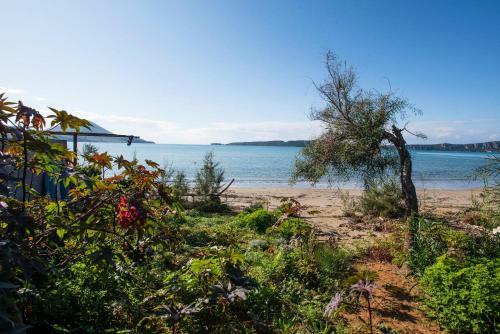 Apartamento Sandy Feet - Beachfront Loft Studio