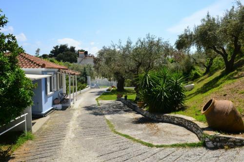 Orestis Suites