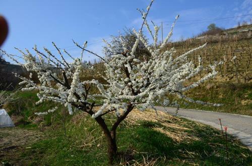 Cascina Filura