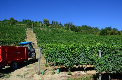 Cascina Filura