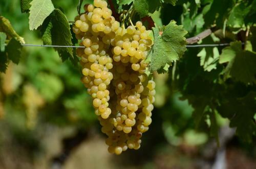 Cascina Filura