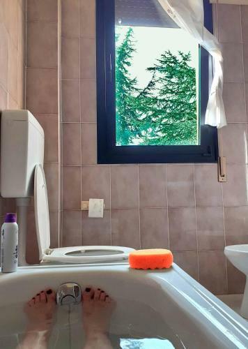 Hotel Prato Verde
