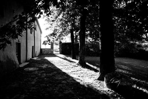 Agriturismo Marchesi Gondi