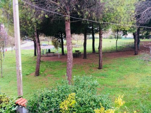 Apartamento Country