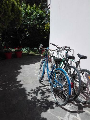 Apartamento Country