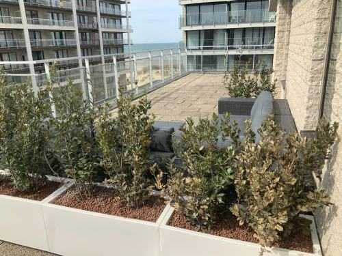 Apartamento Sea View Penthouse