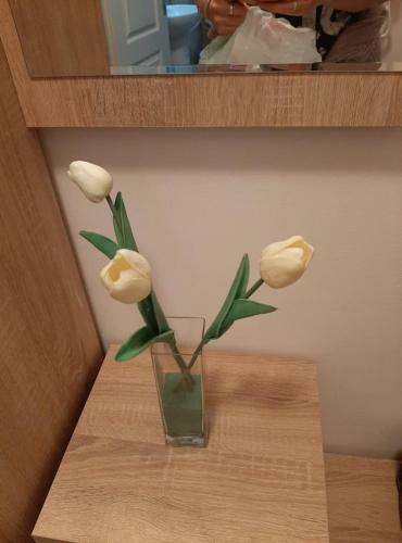 Novo! Apartman Vorteks Vrnjacka Banja