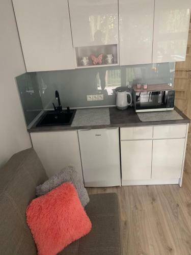 Apartamento Zeles�wka W?dzyn Gosia