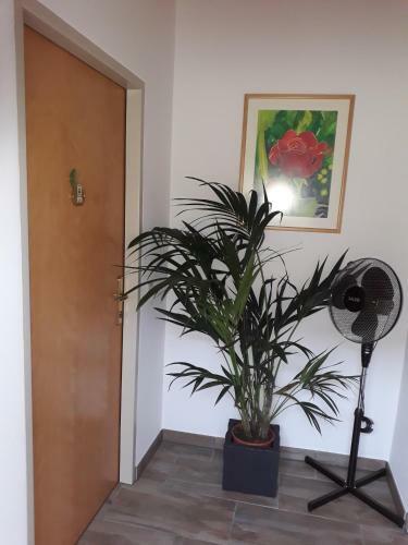 Bed & Breakfast Obsthof Gl�ck