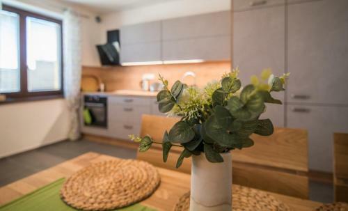 Apartamento Astra Lipno