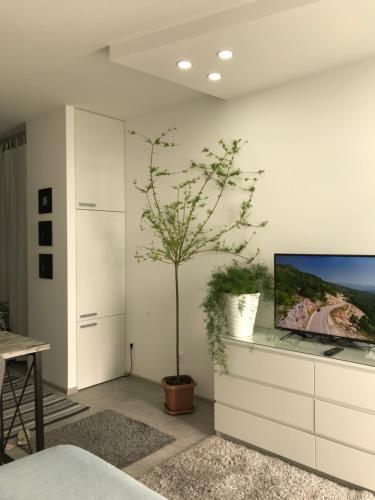 Apartamento �gray�