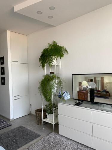 Apartamento �gray�